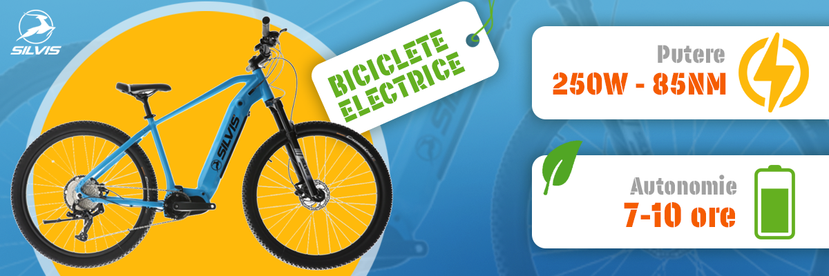 banner ebike